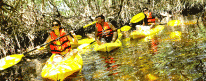 Kayakismo