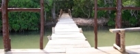 Paseo por sendero