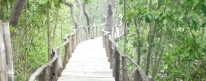 Recorrido Guiado